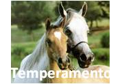 Temperamento