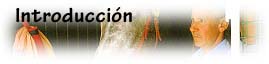 Introducci&oacute;n